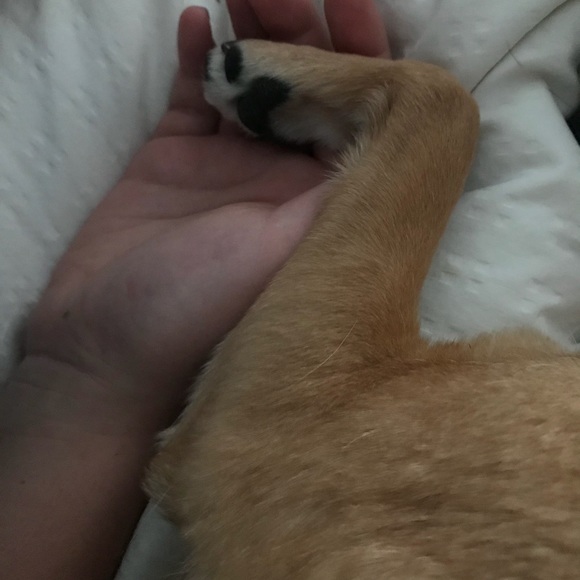 Meet your Posher, Alison - Picture 1 of 1